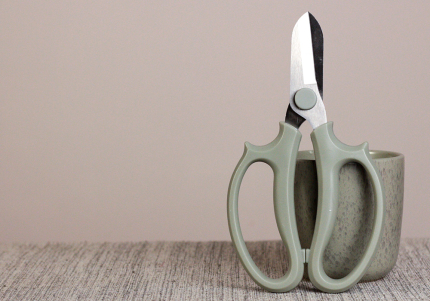 Ножиці флористичні оливкові