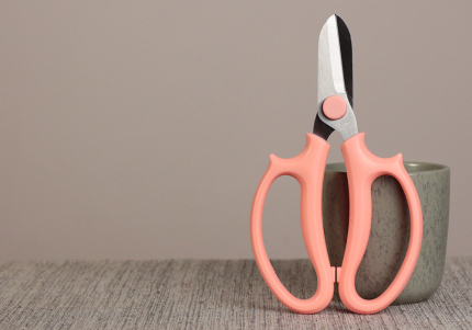 Ножиці флористичні рожеві