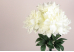 Жоржина декоративна №S01 білий букет (9шт) (45см) (С30695)