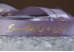 Стрічка атласна з надписом "Beautiful Love" (2,5 см *30 м), бузковий (№031)