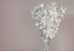 Гортензія біла букет (16шт) (46см) (С30476)
