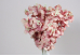 Гортензія пудрова букет (16шт) (46см) (С30476)