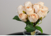 Троянди персикові букет (11шт) (28см)