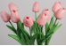 Тюльпани рожеві букет (9шт) (34см)