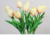 Тюльпани кремові букет (9шт) (34см)