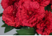 Гвоздика декоративна червона букет (9шт) (42см) (С30474)