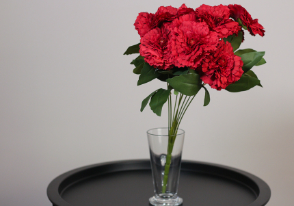 Гвоздика декоративна червона букет (9шт) (42см) (С30474)