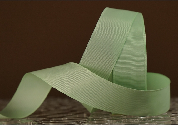 Стрічка репсова (2,5 см *23 м), м'ятний (№217)