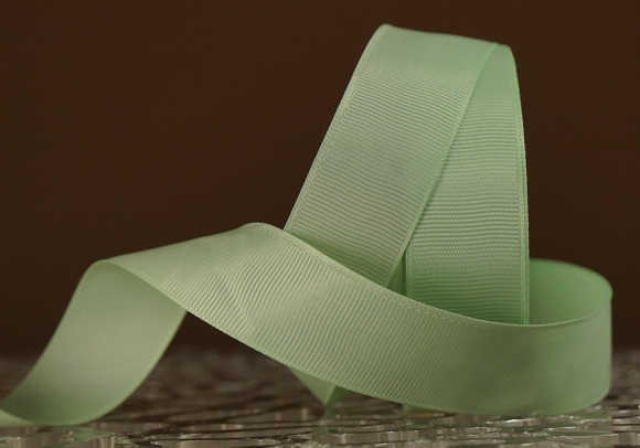 Стрічка репсова (2,5 см *23 м), м'ятний (№217)