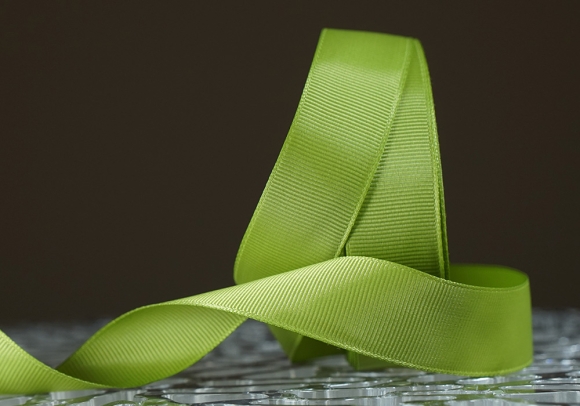 Стрічка репсова (2,5 см *23 м), папоротево-зелений (№95)