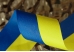 Стрічка репсова Прапор України (Український принт) (5 см *23 м) (1 рулон) Стрічка репсова Прапор України (Український принт) (5 см *23 м) (1 рулон)