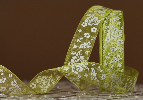 Стрічка ОРГАНЗА з принтом "КВІТИ" (2,5 см *45 м), травнево-зелений (№108m) (1рулон) Стрічка ОРГАНЗА з принтом "КВІТИ" (2,5 см *45 м), травнево-зелений (№108m) (1рулон)