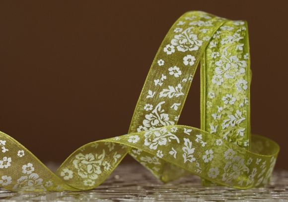 Стрічка ОРГАНЗА з принтом "КВІТИ" (2,5 см *45 м), травнево-зелений (№108m) (1рулон) Стрічка ОРГАНЗА з принтом "КВІТИ" (2,5 см *45 м), травнево-зелений (№108m) (1рулон)