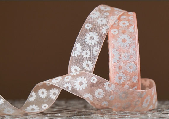 Стрічка ОРГАНЗА з принтом "КВІТИ-2" (2,5 см *45 м), світло-персиковий (№06m) (1рулон) Стрічка ОРГАНЗА з принтом "КВІТИ-2" (2,5 см *45 м), світло-персиковий (№06m) (1рулон)