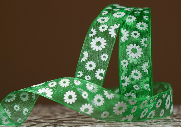 Стрічка ОРГАНЗА з принтом "КВІТИ-2" (2,5 см *45 м), зелений (№19m) (1рулон) Стрічка ОРГАНЗА з принтом "КВІТИ-2" (2,5 см *45 м), зелений (№19m) (1рулон)